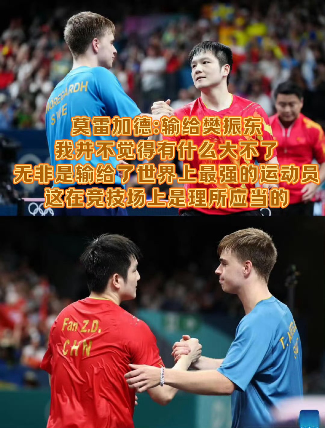 法国队完胜瑞典队，樊振东带队取胜