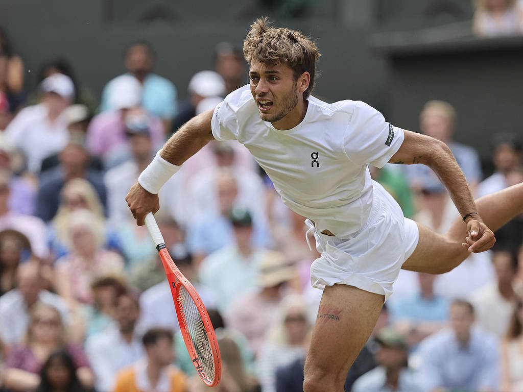 温网横扫法网，德约科维奇高光表现的简单介绍